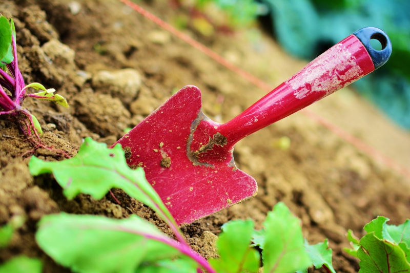 sasu-LES SALLES SUR VERDON-min_gardening-2448134